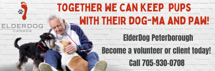 ElderDog Canada Peterborough Pawd: Together we can keep pups with their dog-ma and paw! Become a volunteer or client today! Call 705-930-0708.