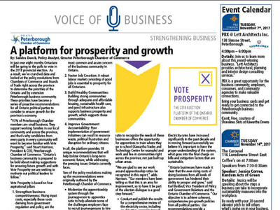 Article Nov 2 2017 A platform for prosperity and growth